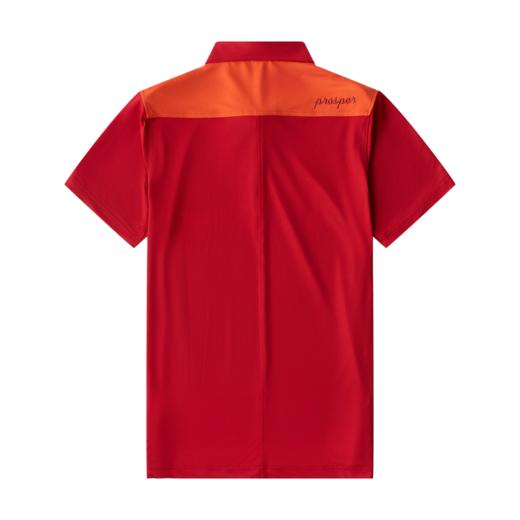 专供_男士短袖POLO衫（19SPS198A) 商品图1