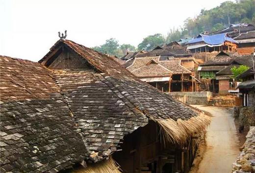 彩农茶｜2018秋·老布朗青饼 商品图3