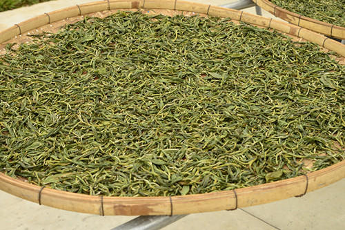 彩农茶｜老班章2018秋古树纯料青饼 商品图4