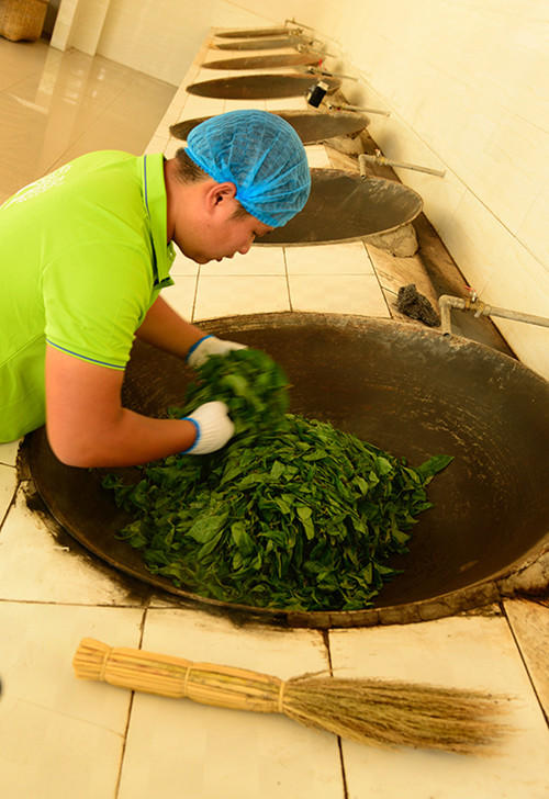 彩农茶｜老班章2018秋古树纯料青饼 商品图5