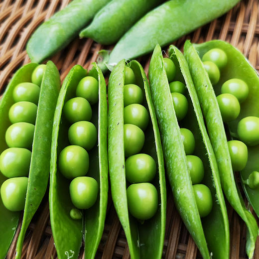 鲜豌豆粒     200g 商品图5