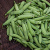 豌豆Pea 商品缩略图1