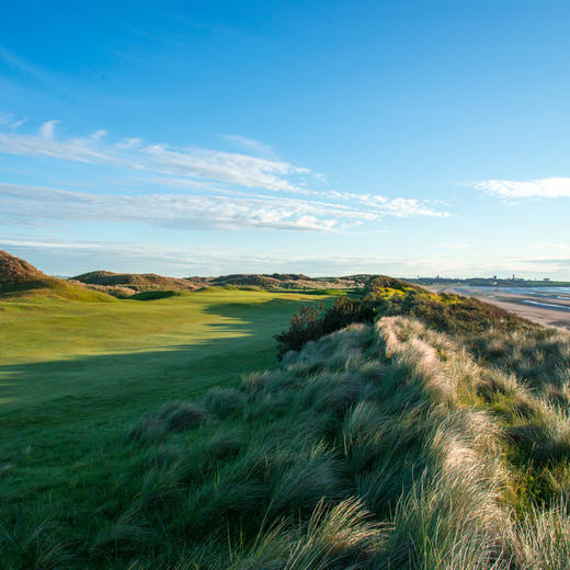 爱尔兰岛高尔夫俱乐部 The Island Golf Club| 爱尔兰高尔夫球场 俱乐部 | 欧洲高尔夫 商品图1
