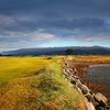波特马诺克高尔夫俱乐部 Portmarnock Golf Club| 爱尔兰高尔夫球场 俱乐部 | 欧洲高尔夫 商品缩略图7
