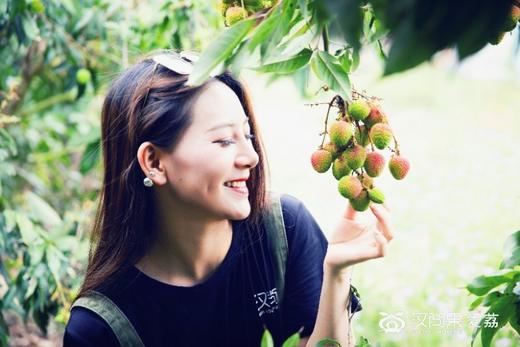 汉尚果爱荔荔枝，出口日本的高端荔枝~3斤装 商品图3