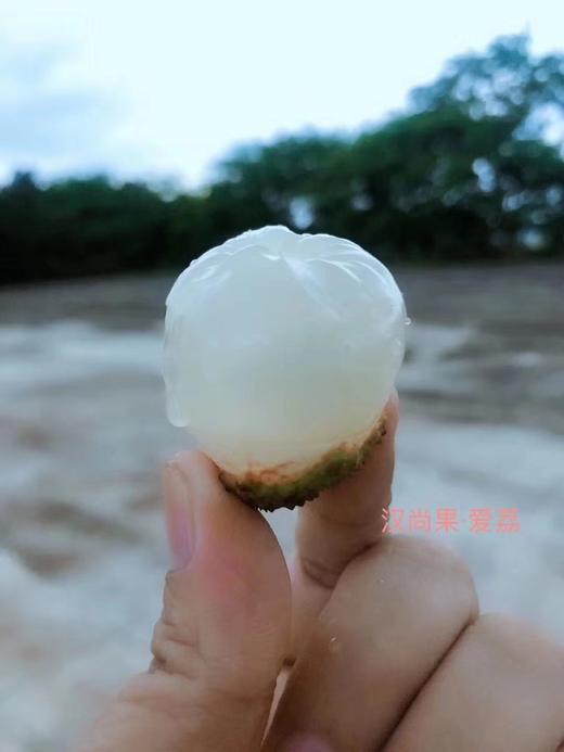 汉尚果爱荔荔枝，出口日本的高端荔枝~3斤装 商品图5