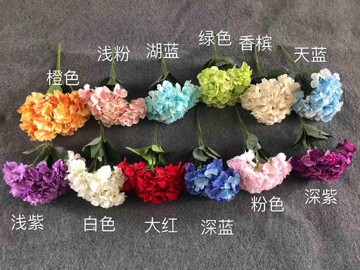 5头绣球把束【运费自理】 商品图0