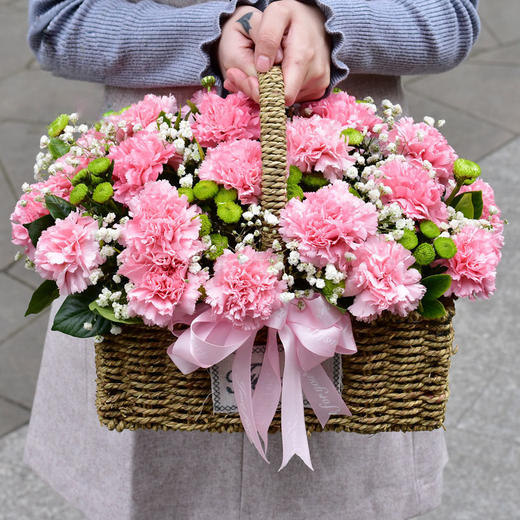 精致玫瑰康乃馨混搭手提花篮送妈妈老师闺蜜同事生日节日祝福母亲节