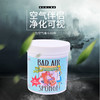 美国Bad Air Sponge空气净化剂白宫用去除甲醛装修汽车异味清除剂 商品缩略图0