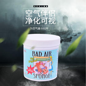 美国Bad Air Sponge空气净化剂白宫用去除甲醛装修汽车异味清除剂