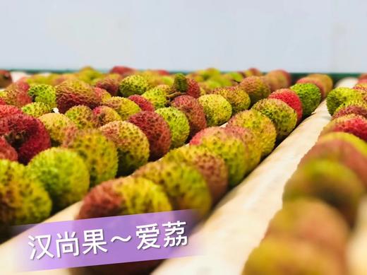 汉尚果爱荔荔枝，出口日本的高端荔枝~3斤装 商品图6