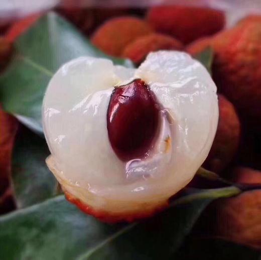 仙进奉荔枝 果大皮薄 鲜甜可口【2.8斤净果】 商品图1