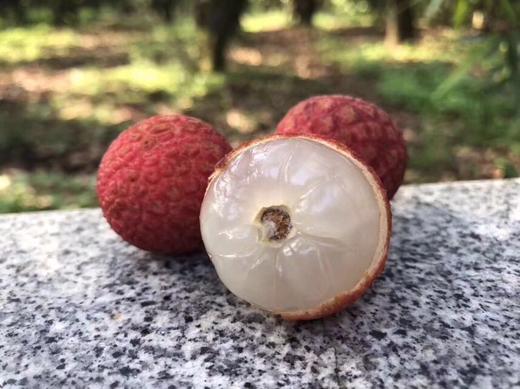 仙进奉荔枝 果大皮薄 鲜甜可口【2.8斤净果】 商品图2