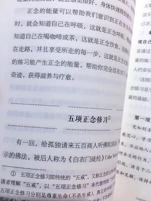 《越用力，越焦虑》一书是世界认可的佛法心灵导师一行禅师的心血力作，写给每一个活在奋斗、慌乱、焦虑、迷茫中的我们，是给千万都市人的生命启示录。 商品图2