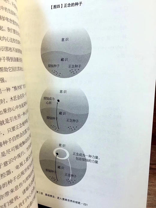 《佛陀之心》一行禅师以自身的禅修体悟以及深入浅出的笔法，将佛法浓缩成一篇篇贴近生活的禅修指导，对佛教的基本教义做了生活化的阐释。 商品图8