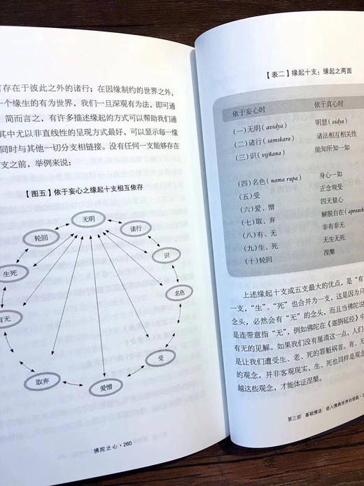 《佛陀之心》一行禅师以自身的禅修体悟以及深入浅出的笔法，将佛法浓缩成一篇篇贴近生活的禅修指导，对佛教的基本教义做了生活化的阐释。 商品图6