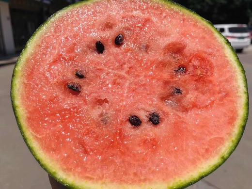 蕃田小西瓜  不仅皮薄，瓜脆，关键是真甜～甜的自然，一股浓浓的西瓜味 商品图2