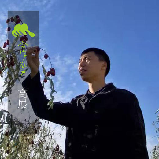 有机无核枣 | 公平贸易* Organic coreless jujube | Fair trade 商品图1