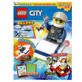 乐高城市第9集