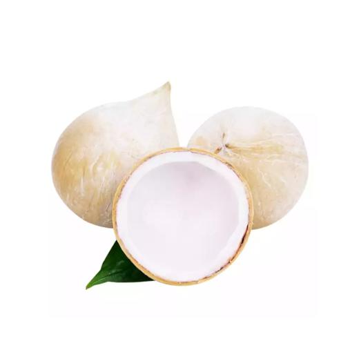 泰国椰皇老树椰皇汁多奶香嫩椰子椰青