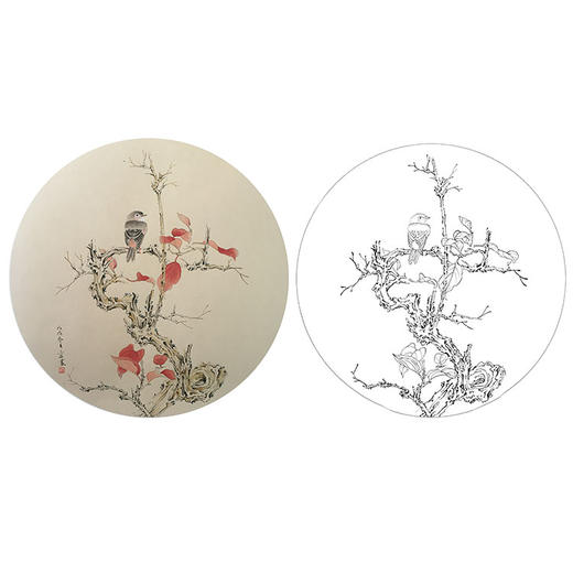 潘磊工笔花鸟小品白描底稿-A620 商品图0