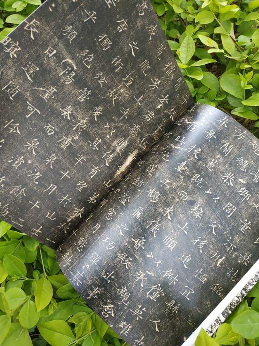 《石墨捃华-名家题跋金石碑帖展》全一册 商品图8