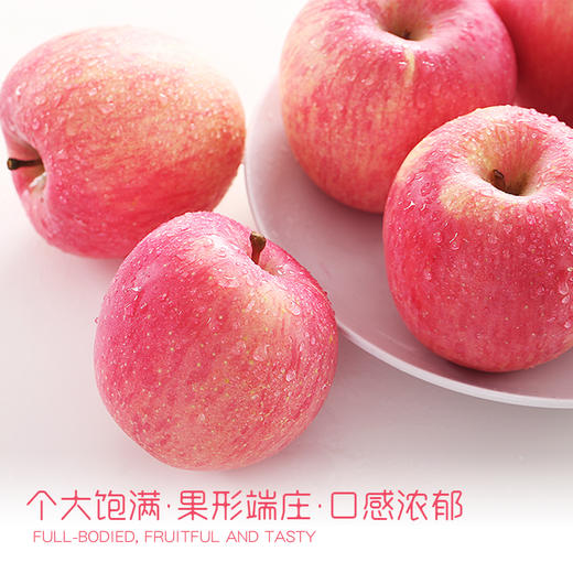 【惊喜试吃】顶端果业陕西延安洛川红富士苹果6枚大果惊喜试吃装 商品图5