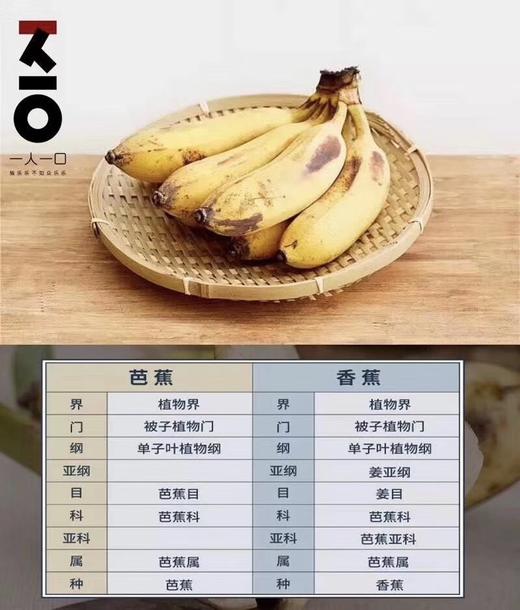 【丑蕉】海南野生芭蕉，外表粗粗笨笨，剥开肉质细白，芬芳扑鼻，香甜糯滑！ 商品图2