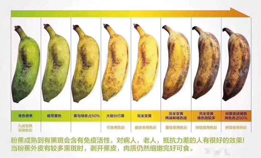 【丑蕉】海南野生芭蕉，外表粗粗笨笨，剥开肉质细白，芬芳扑鼻，香甜糯滑！ 商品图3