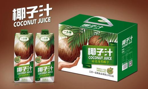 椰子汁 6L箱装涟水休闲饮料品 商品图0