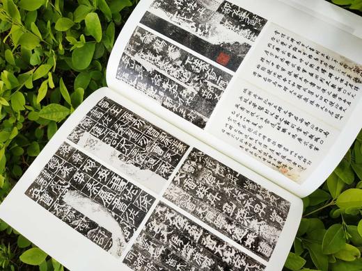 《石墨捃华-名家题跋金石碑帖展》全一册 商品图6