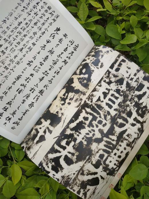 《石墨捃华-名家题跋金石碑帖展》全一册 商品图7