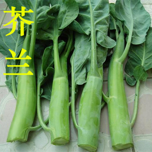 中芥蓝芥兰爽脆清嫩约300克