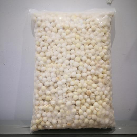 芡实（干）100G 商品图0