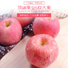 【惊喜试吃】顶端果业陕西延安洛川红富士苹果6枚大果惊喜试吃装 商品缩略图2