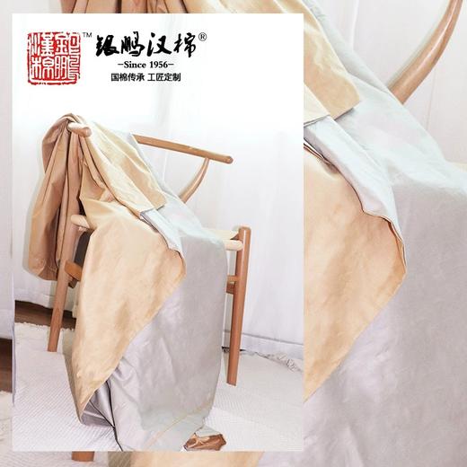 【武汉】银鹏汉棉镜面被套AB版40支 商品图7