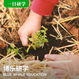 （一日）| 添地球一抹绿，触摸春天的颜色！