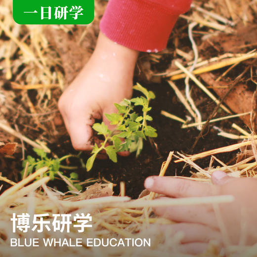 （一日）| 添地球一抹绿，触摸春天的颜色！ 商品图0