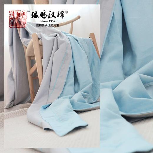 【武汉】银鹏汉棉镜面被套AB版40支 商品图5