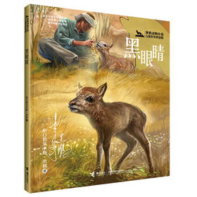 黑鹤动物小说儿童彩绘拼音版·黑眼睛