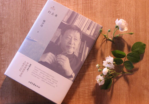 《归去来》：走入“寻根”小说的神秘、忧郁气氛 商品图0