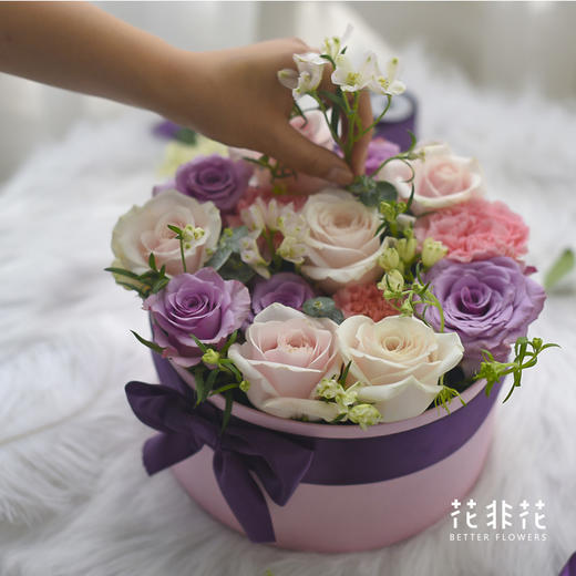 小美好.圆形花盒 商品图1