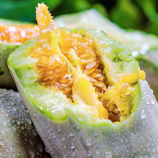 【已下架】山东羊角蜜|一口清脆,一口甜蜜