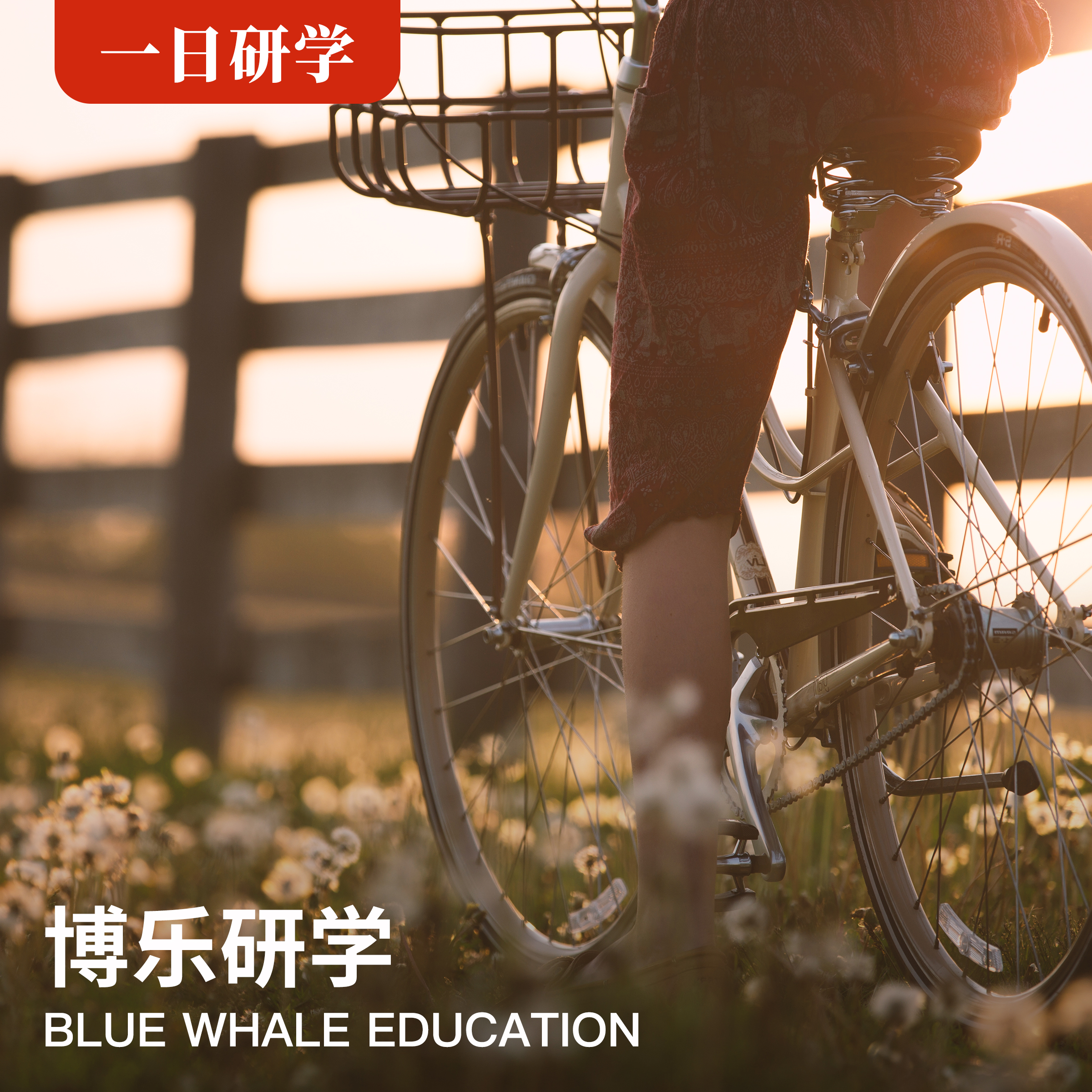 | 骑行遇上北京的初秋，在大自然中的亲子时光！