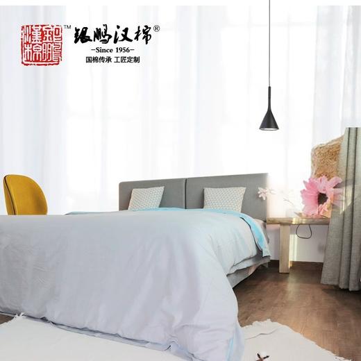 【武汉】银鹏汉棉镜面被套AB版40支 商品图4