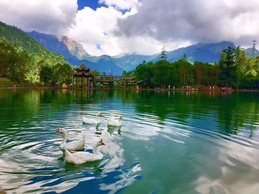 【陇南2日】官鹅沟+鹅嫚沟+哈达铺火车2日游 商品图1