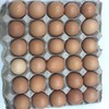 鸡蛋红每公斤 商品缩略图0