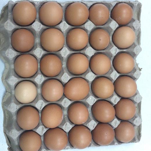 鸡蛋红每公斤 商品图0