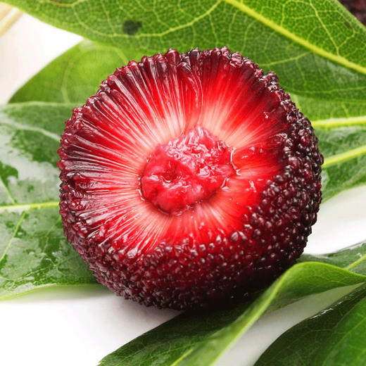 漳州浮宫杨梅3斤大果顺丰或德邦空运包邮西北六省海南东三省不发货