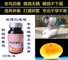 【种鸽回春灵】 200锭 ， 调整配对高峰 专治雌鸽不孕 雄鸽无精（台湾三连冠）